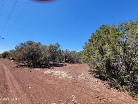 Tiny photo for TBD Co Rd 3113, Vernon, AZ 85940 (MLS # 256917)