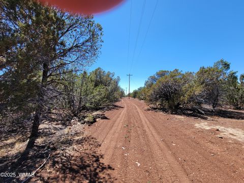 Photo of TBD Co Rd 3113, Vernon, AZ 85940 (MLS # 256917)