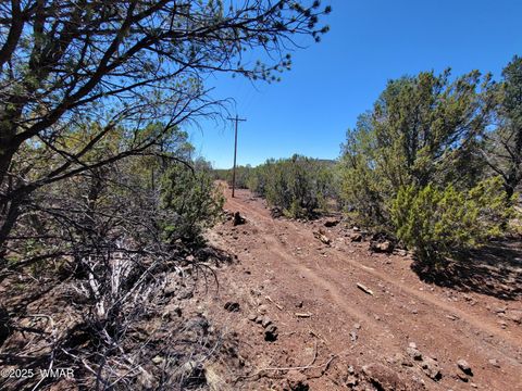 Tiny photo for TBD Co Rd 3113, Vernon, AZ 85940 (MLS # 256917)