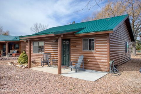 Photo of 2342 S Buffalo Loop, Overgaard, AZ 85933 (MLS # 259601)