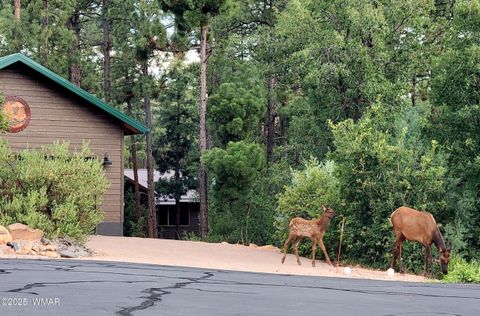 Tiny photo for 1820 S Rockwood Circle, Show Low, AZ 85901 (MLS # 258896)