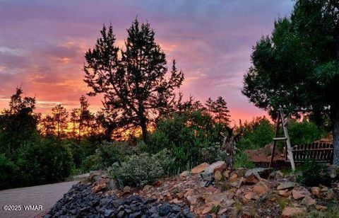 Tiny photo for 1820 S Rockwood Circle, Show Low, AZ 85901 (MLS # 258896)