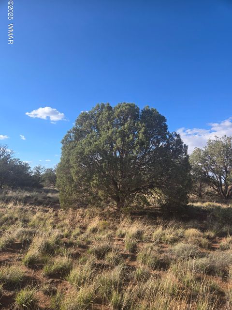 Photo of 4354 Pinto Road, Snowflake, AZ 85937 (MLS # 258206)