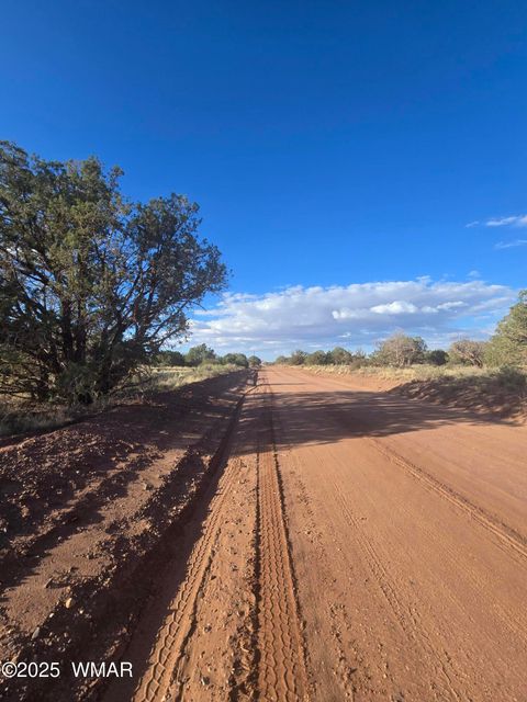 Tiny photo for 4354 Pinto Road, Snowflake, AZ 85937 (MLS # 258206)