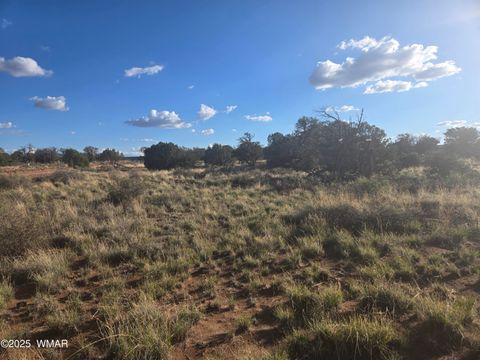 Tiny photo for 4354 Pinto Road, Snowflake, AZ 85937 (MLS # 258206)