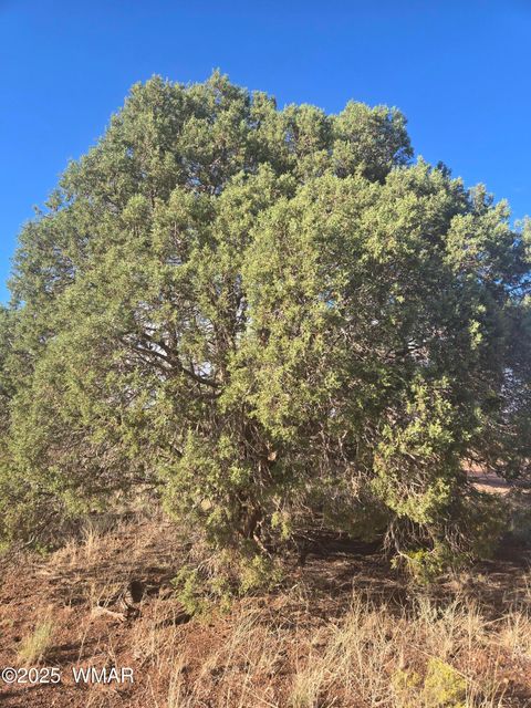 Tiny photo for 4354 Pinto Road, Snowflake, AZ 85937 (MLS # 258206)