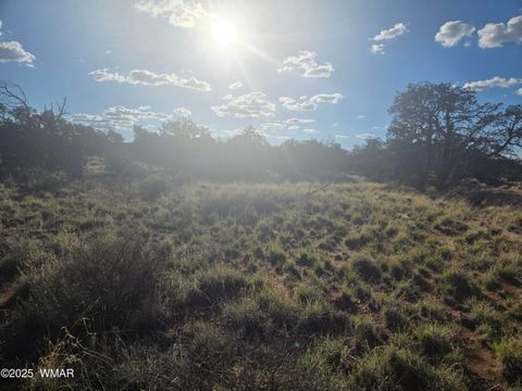 Tiny photo for 4354 Pinto Road, Snowflake, AZ 85937 (MLS # 258206)