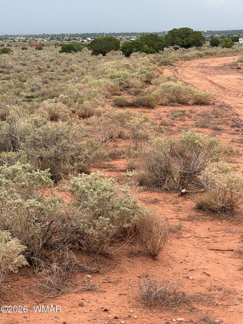 Tiny photo for 3264 S Coolidge Road, Williams, AZ 86046 (MLS # 263015)