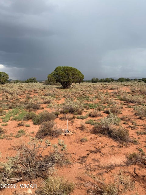 Tiny photo for 3264 S Coolidge Road, Williams, AZ 86046 (MLS # 263015)
