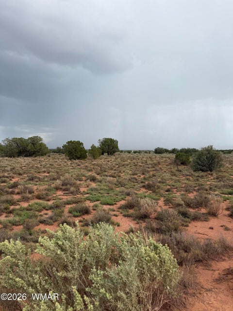 Tiny photo for 3264 S Coolidge Road, Williams, AZ 86046 (MLS # 263015)