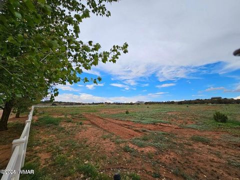 Tiny photo for TBD Caldwell Cyn Road, Snowflake, AZ 85937 (MLS # 256200)