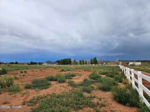 Tiny photo for TBD Caldwell Cyn Road, Snowflake, AZ 85937 (MLS # 256200)