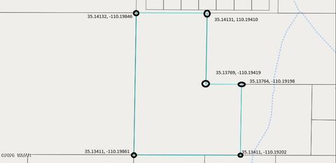 Tiny photo for TBD Parcel 104-62-006, Joseph City, AZ 86032 (MLS # 259217)