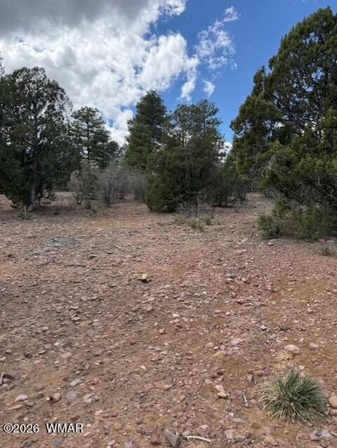 Tiny photo for 580 Angelas Place #LOT 7, Show Low, AZ 85901 (MLS # 260929)