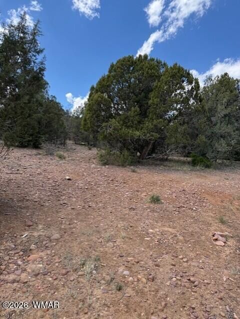 Tiny photo for 580 Angelas Place #LOT 7, Show Low, AZ 85901 (MLS # 260929)