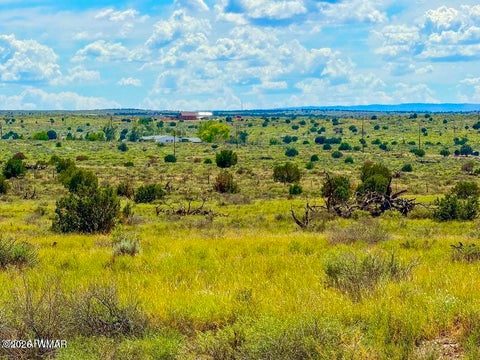 Photo of 0 Hay Hollow Rd 20 Acres, Snowflake, AZ 85937 (MLS # 263049)