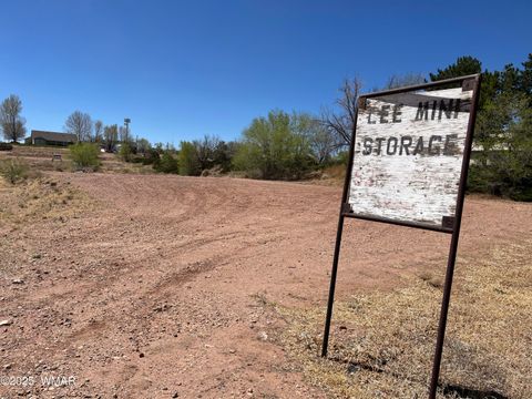 Tiny photo for TBD S 1st Street West, Snowflake, AZ 85937 (MLS # 255574)