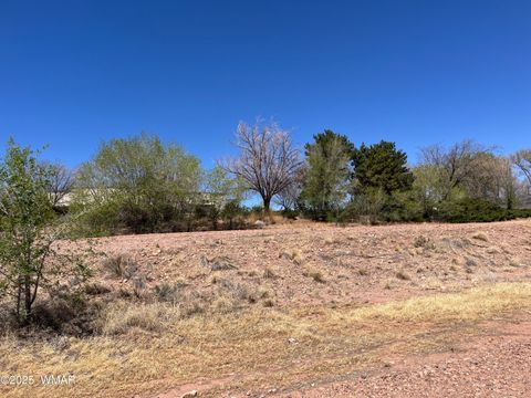 Tiny photo for TBD S 1st Street West, Snowflake, AZ 85937 (MLS # 255574)