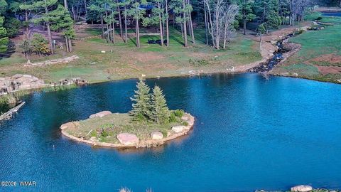 Tiny photo for 1540 S Braden Court, Show Low, AZ 85901 (MLS # 259577)