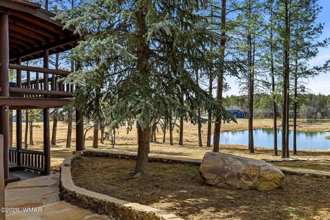 Tiny photo for 1540 S Braden Court, Show Low, AZ 85901 (MLS # 259577)