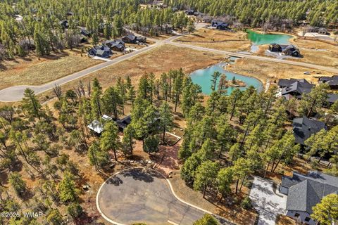 Tiny photo for 1540 S Braden Court, Show Low, AZ 85901 (MLS # 259577)