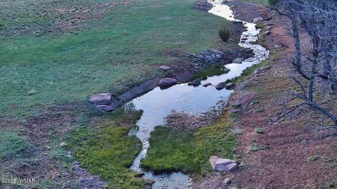 Tiny photo for 1540 S Braden Court, Show Low, AZ 85901 (MLS # 259577)