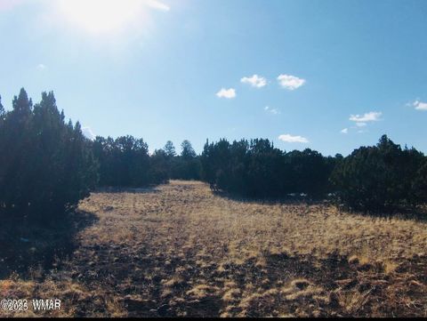 Photo of TBD 106-39-007N, Vernon, AZ 85940 (MLS # 258457)