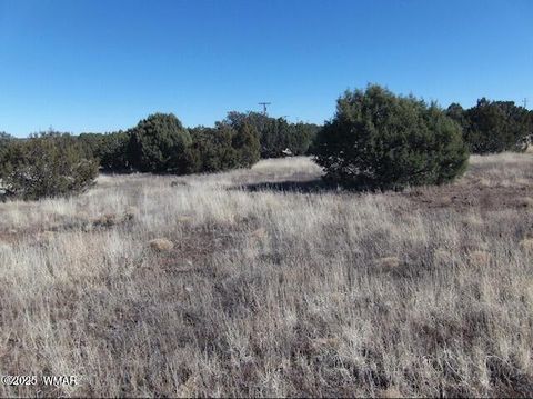 Tiny photo for TBD 106-39-007N, Vernon, AZ 85940 (MLS # 258457)