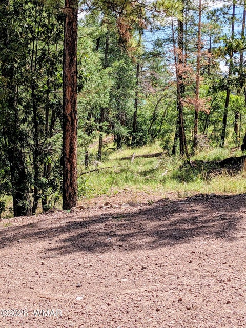 Tiny photo for 6 County Road 2073, Alpine, AZ 85920 (MLS # 262966)