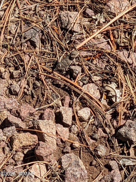 Tiny photo for 6 County Road 2073, Alpine, AZ 85920 (MLS # 262966)