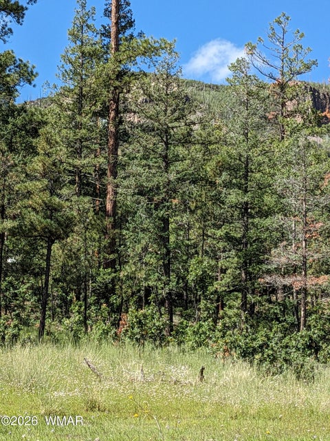 Tiny photo for 6 County Road 2073, Alpine, AZ 85920 (MLS # 262966)