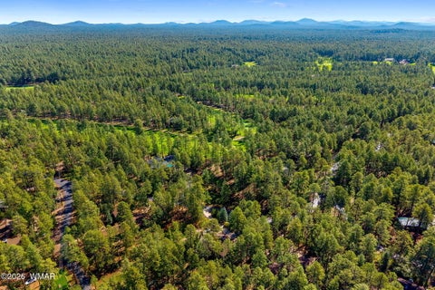 Tiny photo for 3606 Aspen Lane, Pinetop, AZ 85935 (MLS # 262947)