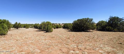 Tiny photo for 9182 Texas Lane, Show Low, AZ 85901 (MLS # 256556)