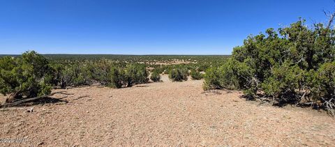 Tiny photo for 9182 Texas Lane, Show Low, AZ 85901 (MLS # 256556)