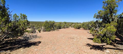 Tiny photo for 9182 Texas Lane, Show Low, AZ 85901 (MLS # 256556)