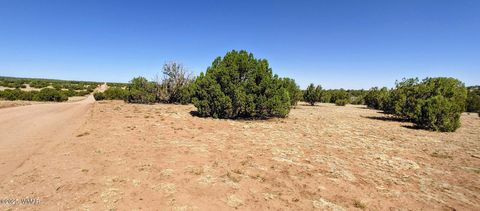 Photo of 9182 Texas Lane, Show Low, AZ 85901 (MLS # 256556)