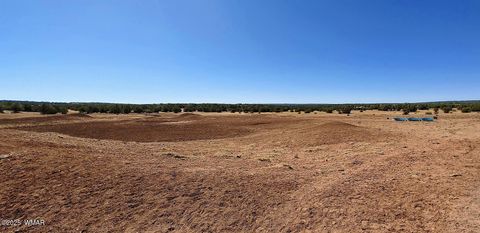 Tiny photo for 9182 Texas Lane, Show Low, AZ 85901 (MLS # 256556)