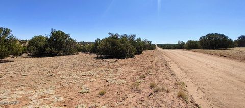 Tiny photo for 9182 Texas Lane, Show Low, AZ 85901 (MLS # 256556)