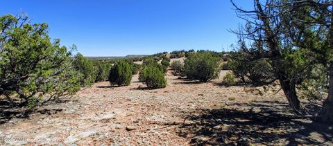 Tiny photo for 9182 Texas Lane, Show Low, AZ 85901 (MLS # 256556)