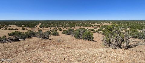 Tiny photo for 9182 Texas Lane, Show Low, AZ 85901 (MLS # 256556)