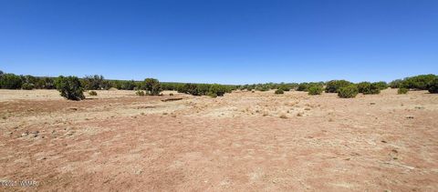 Tiny photo for 9182 Texas Lane, Show Low, AZ 85901 (MLS # 256556)