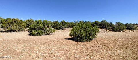 Tiny photo for 9182 Texas Lane, Show Low, AZ 85901 (MLS # 256556)