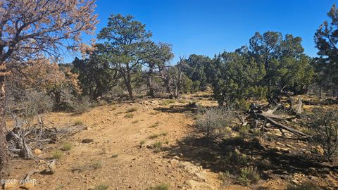 Tiny photo for 4 County Road, Concho, AZ 85924 (MLS # 258524)