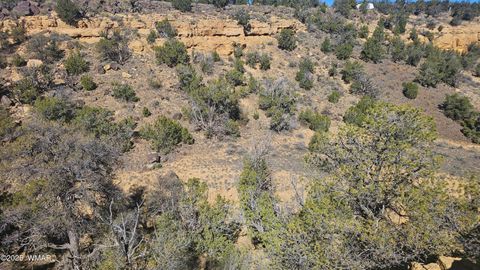 Tiny photo for 4 County Road, Concho, AZ 85924 (MLS # 258524)