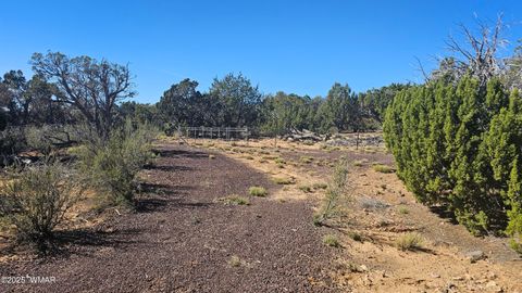 Tiny photo for 4 County Road, Concho, AZ 85924 (MLS # 258524)