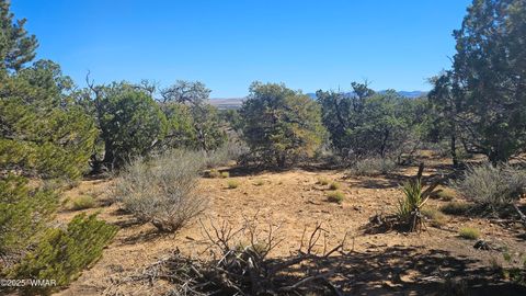 Tiny photo for 4 County Road, Concho, AZ 85924 (MLS # 258524)
