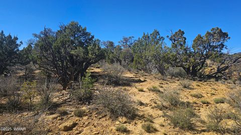 Tiny photo for 4 County Road, Concho, AZ 85924 (MLS # 258524)