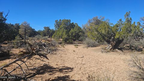Tiny photo for 4 County Road, Concho, AZ 85924 (MLS # 258524)