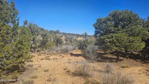 Tiny photo for 4 County Road, Concho, AZ 85924 (MLS # 258524)