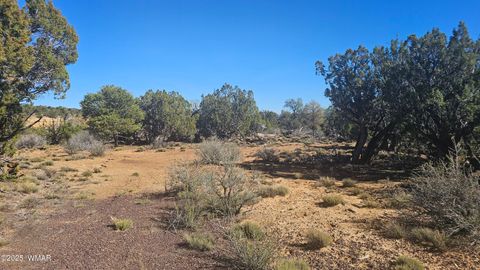 Tiny photo for 4 County Road, Concho, AZ 85924 (MLS # 258524)